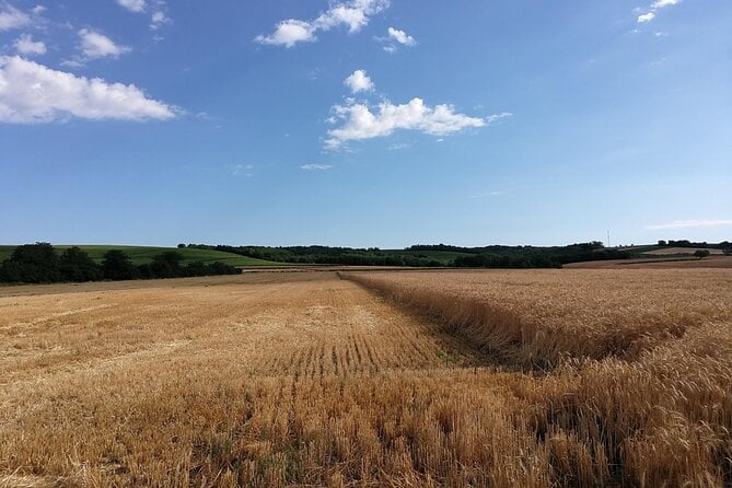 Best Wine Tours In Croatia