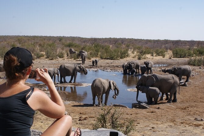 25 Best Safari Tours In Windhoek