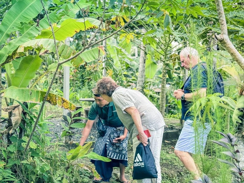 Bali: Balinese Cooking Class and Sightseeing in Ubud