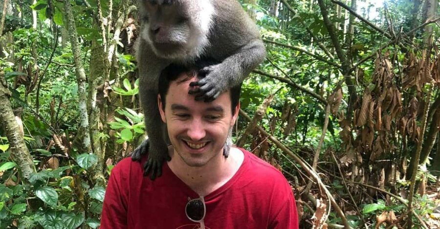 Bali: Monkey Forest, Waterfalls, Rice Terracep, and Coffee …