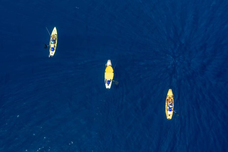 2 Best Fishing Tours In Cavtat