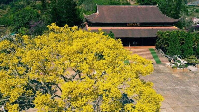 Dalat Countryside & Pongour Waterfall Tours (Small Group)