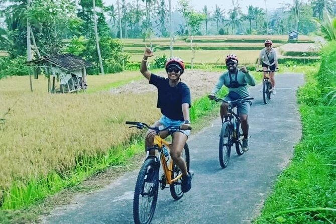 Downhill From Kintamani Cycling Shared Tours in Ubud