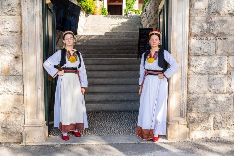 Dubrovnik: Van Gogh Sunflowers Private Collection Gallery