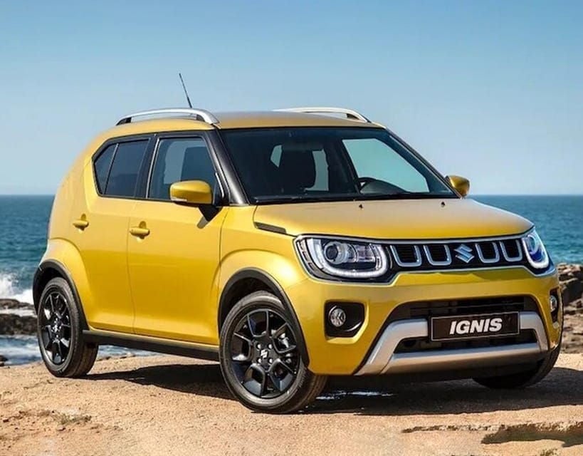 Electric Island Tour With Snorkeling and Beach Picnic