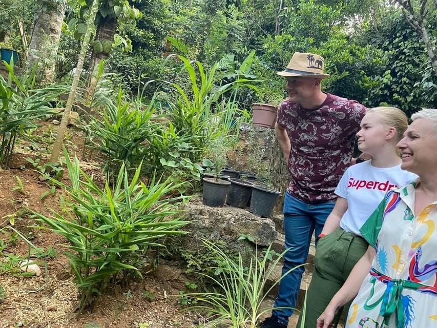 Ella : Cooking Class With Amazing Spice Garden Tour