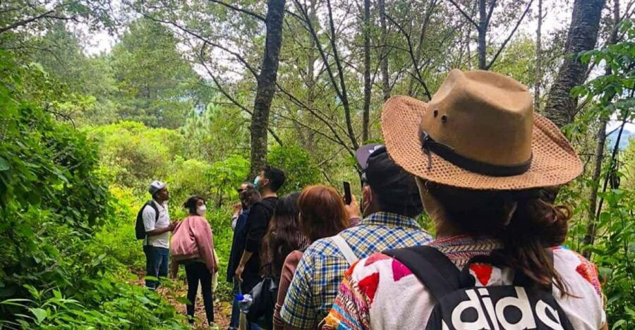 From Oaxaca: Hierve El Agua, Mitla, Tule Tree & Mezcal Tour