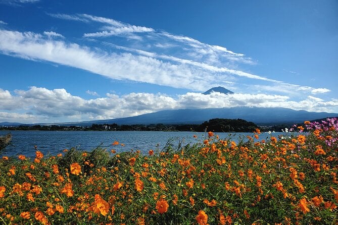 Guided Yokohama Port to Mt. Fuji Private Tour GREEN NUMBER PLATES