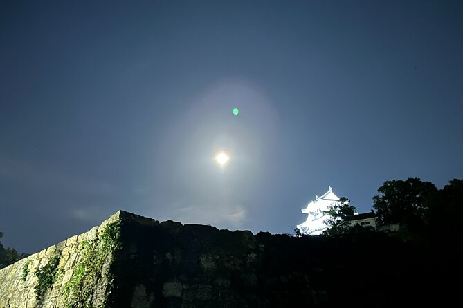 Himeji Castle Tour and Craft Experience