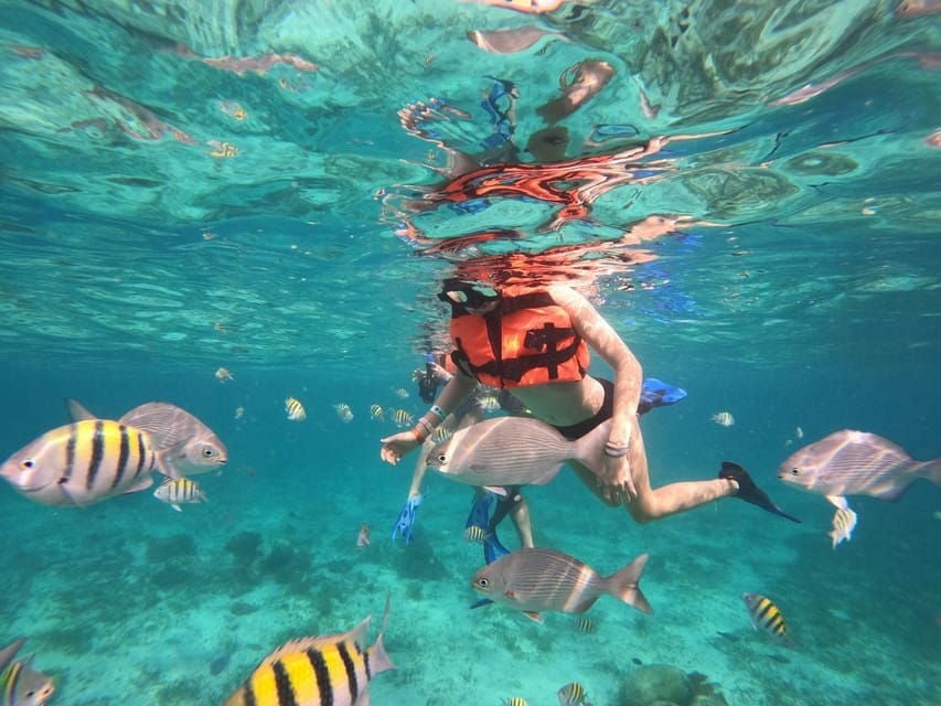 Isla Mujeres: Snorkeling Adventure at the Underwater Museum