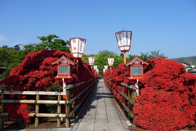Kyoto Highlights Eastern Western Northern and Southern Routes