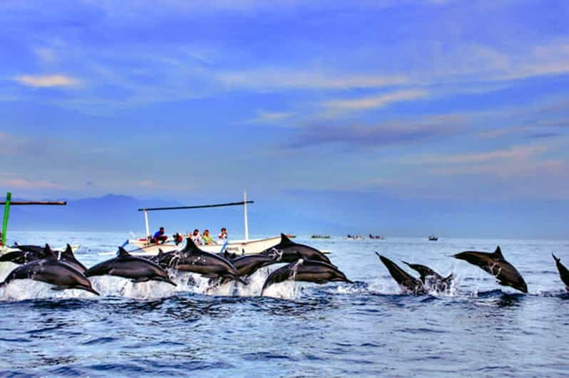 Lovina Bali: Dolphin Watching, Waterfall and Local Lunch