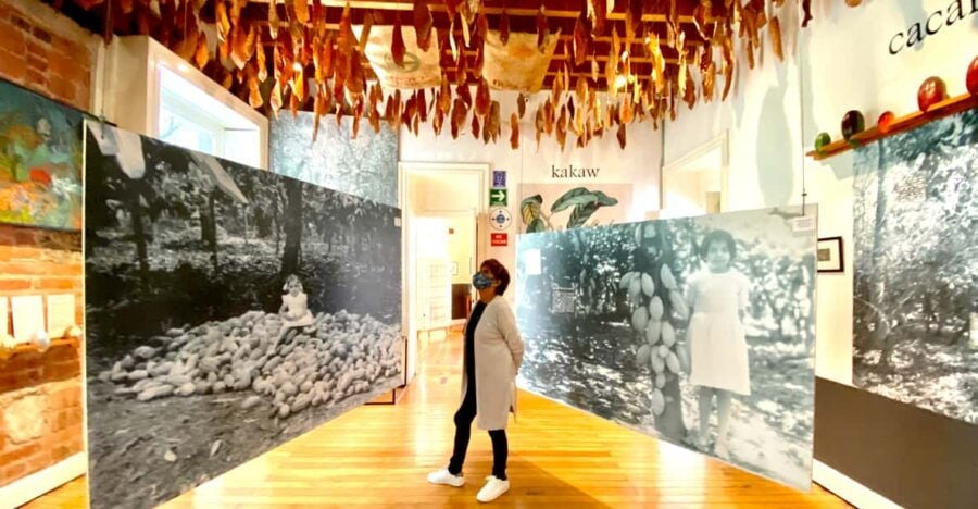 Mexico City: MUCHO Museum of Chocolate Entrance Ticket