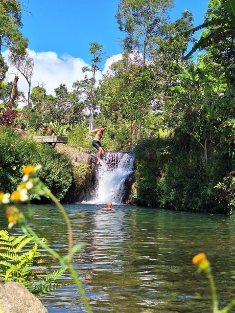 Munduk Hortensia Trek: Coffee Fields, Waterfalls Exploration