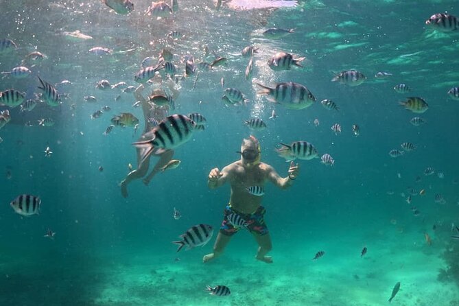 Private Island Hopping From Port Barton With Turtle Watching