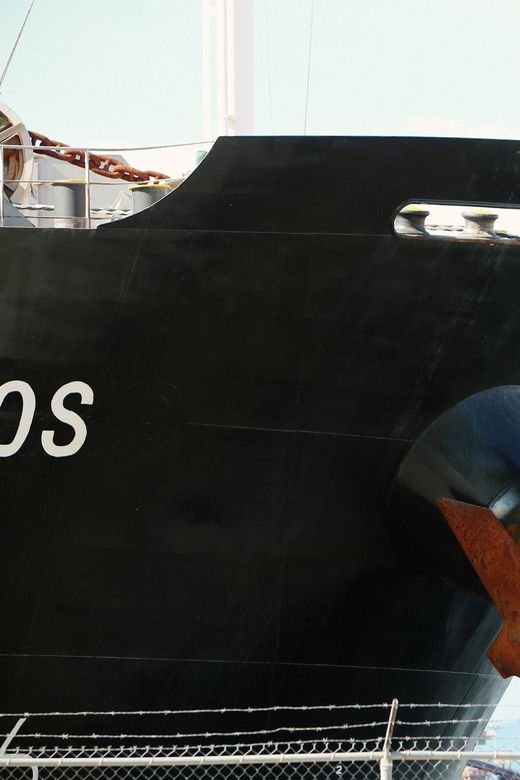 Private Round-Trip Transfer: From Heathrow↔Southampton Port.