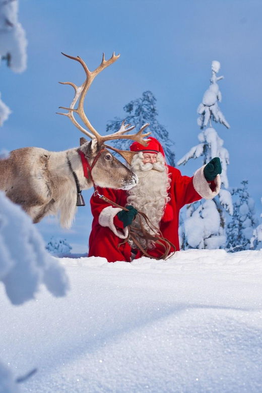 3 Best Christmas Experiences In Rovaniemi