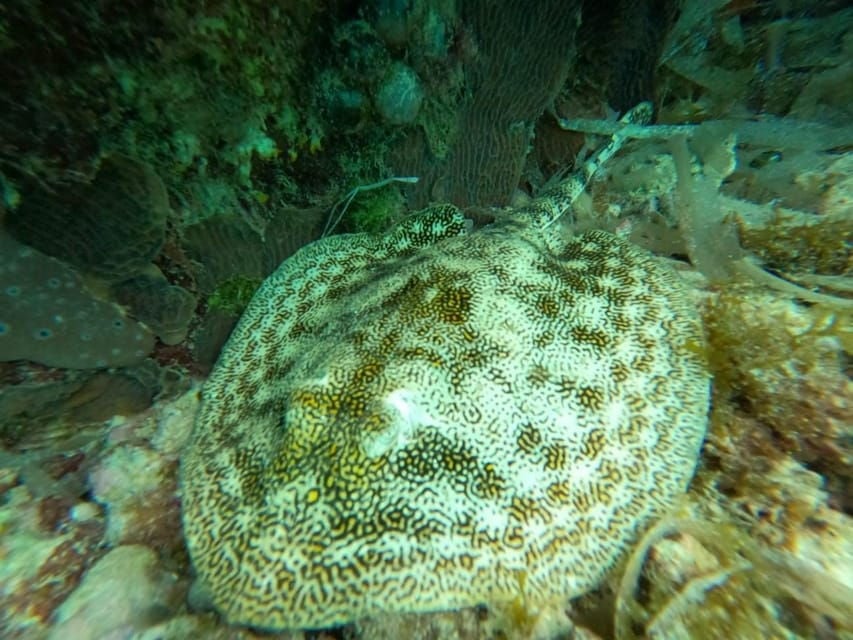 SNORKEL & TEQUILA TASTING