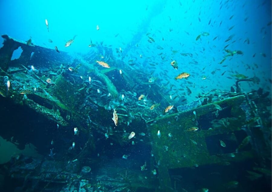 Sun and Sea Retreat: Full-Day Tour With Swimming and Lunch