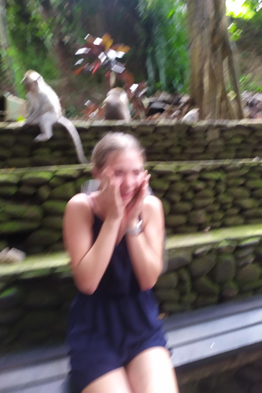 Temple Monkey Forest and Waterfall Tour