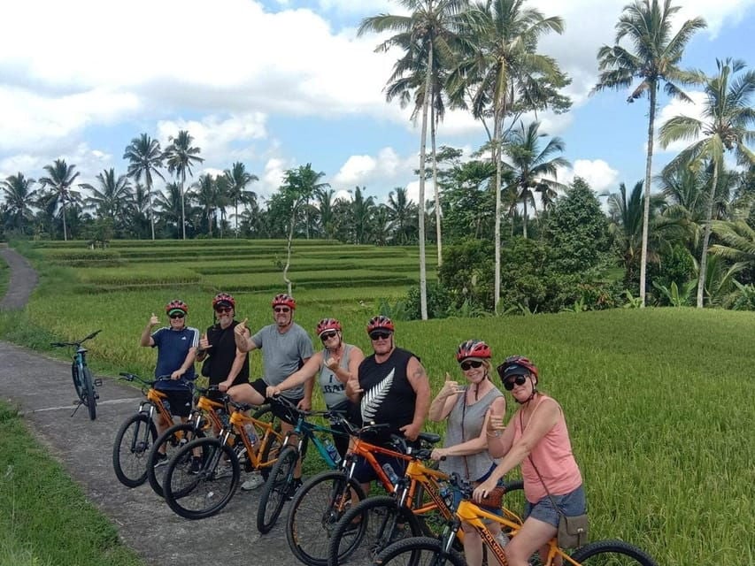 Ubud: Downhill Cycling Tour With Lunch and Hotel Transfer