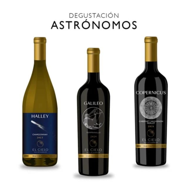 Valle De Guadalupe: The Cielo Wine Terrace Tasting Experience