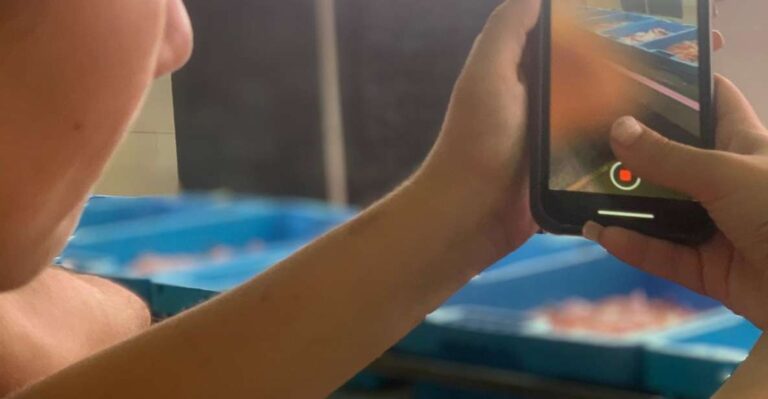 Villajoyosa: Seafood Route and Fish Auction.