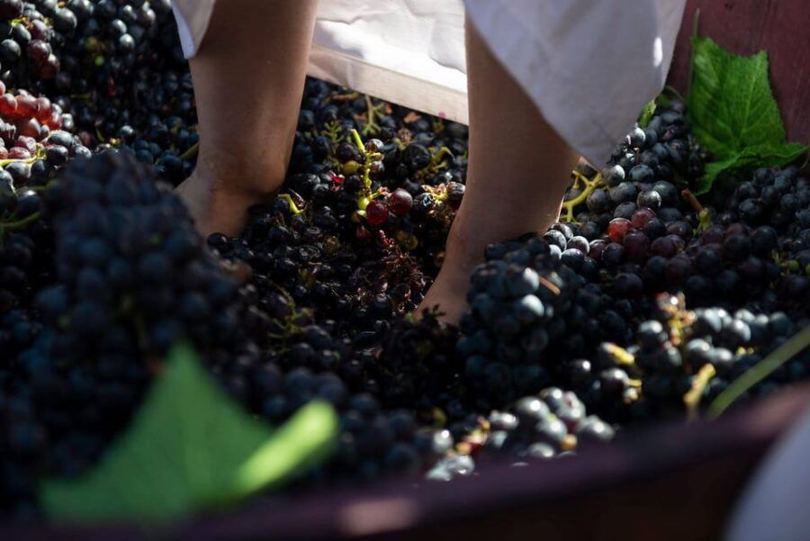 Yerevan: Khor Virap Day Trip With Mount Ararat Wine Tasting