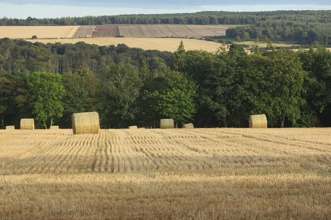 2 Best Guided Tours In The Scottish Highlands