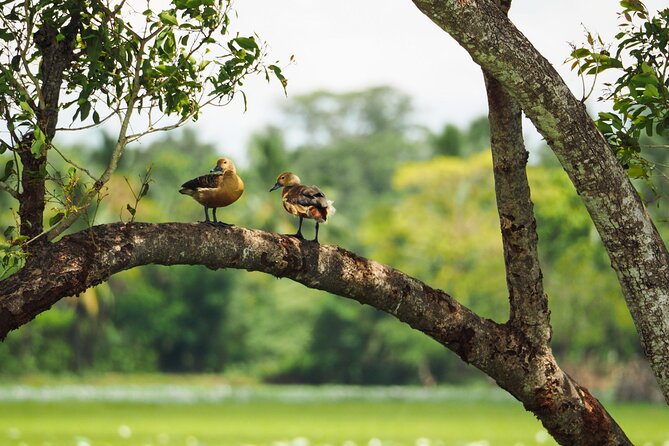 Best Boat Tours And Cruises In Yala National Park