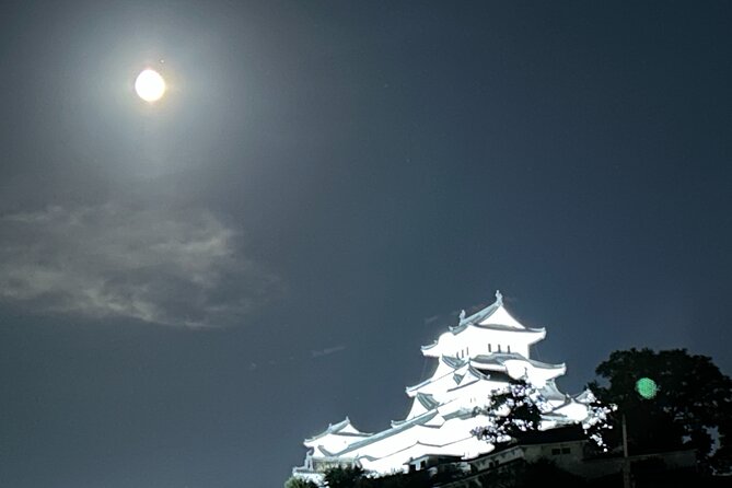 Himeji Castle Tour and Craft Experience - Dining Options