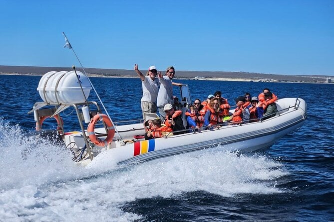 5 Best Dolphin Watching Tours In Puerto Madryn