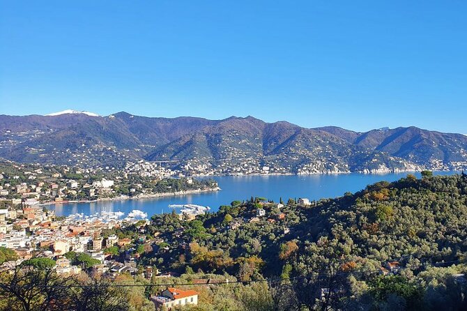 Scenic Private Hiking Tour From Portofino to S. Fruttuoso