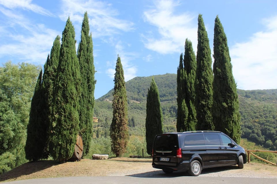 Tasting in a Tuscan Vineyard With Transfer From Pisa - Transportation Details From Pisa to the Vineyard