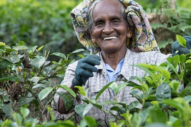 4 Best Guided Tours In Sri Lanka