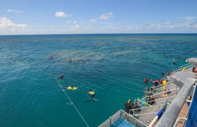 Cairns: Great Barrier Reef Cruise With Water Activities - Full Description
