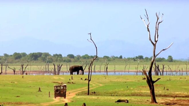 Multi-Day Tour: Udawalawe National Park Elephant Safari - Location and Meeting Point