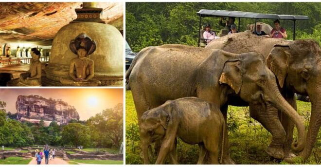 Sri Lanka: Western Province Highlights Day Tour and Safari - Pickup and Group Size Information