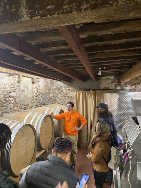 Tasting in a Tuscan Vineyard With Transfer From Pisa - Guided Tour and Wine Tasting Experience