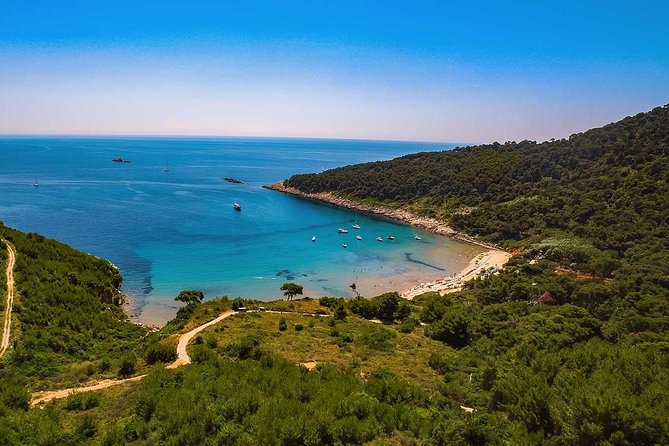 Blue Cave Small-Group Boat Tour From Dubrovnik - Swimming and Snorkeling Opportunities