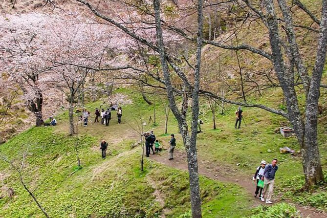 Kansai Region Hiking Adventure in Nara Kobe Kyoto and More - Navigating the Scenic Landscapes