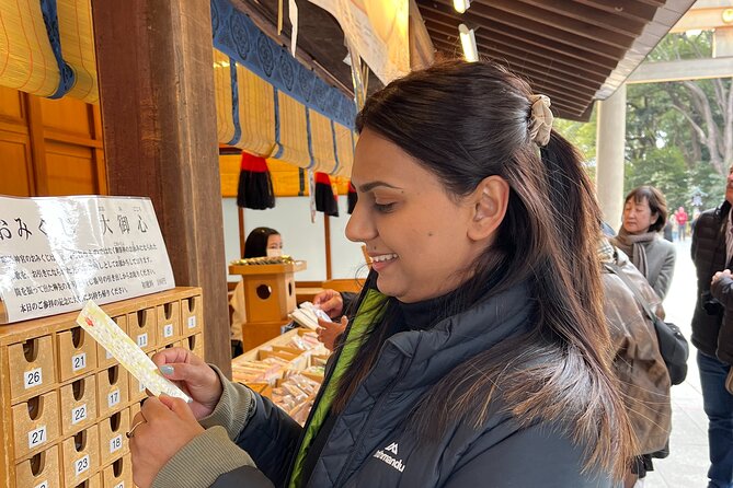 Tokyo 7hr Tour Licensed Guide & Vehicle: NRT Airport Drop Off - Accessibility and Special Requirements