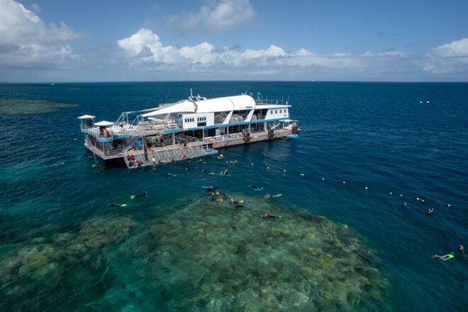 Cairns: Great Barrier Reef Cruise With Water Activities - Additional Information