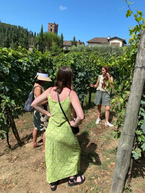 Tasting in a Tuscan Vineyard With Transfer From Pisa - Organic Wines and Local Specialties