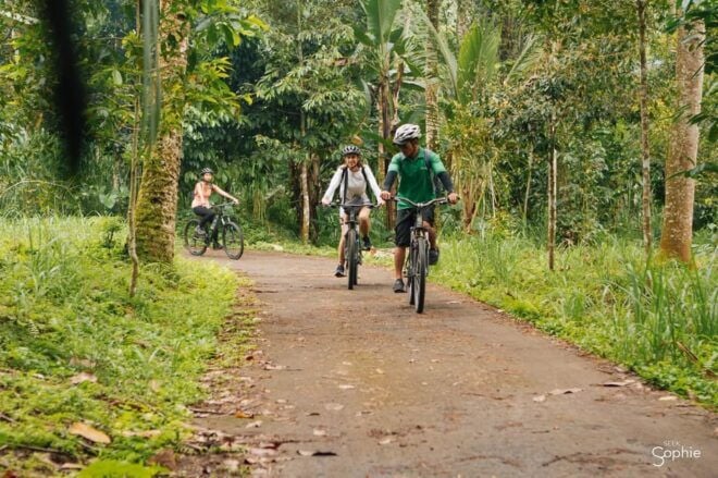Ubud: Downhill Cycling Tour With Lunch and Hotel Transfer - Recommended Items to Bring