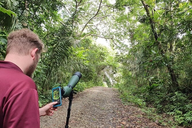 25 Best Boat Tours And Cruises In Panama City