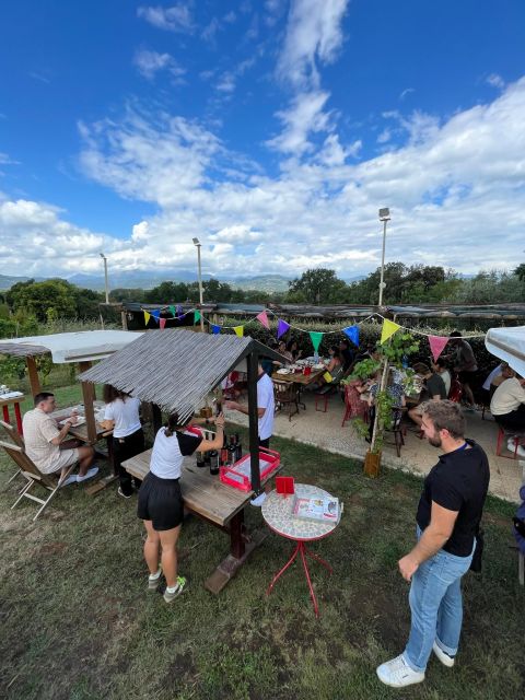 Tasting in a Tuscan Vineyard With Transfer From Pisa - Learning About Wine and Food Pairing