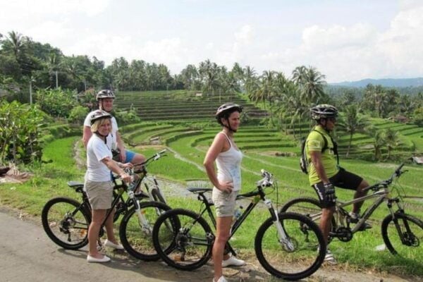Ubud: Downhill Cycling Tour With Lunch and Hotel Transfer - Logistics and Transportation