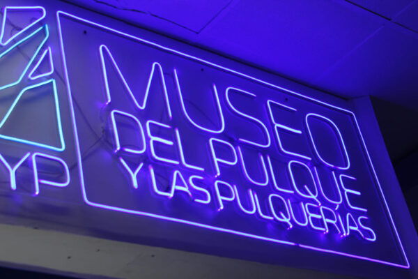 Mexico City Street Food Tour (Private) - Best Rated - Accessibility and Support