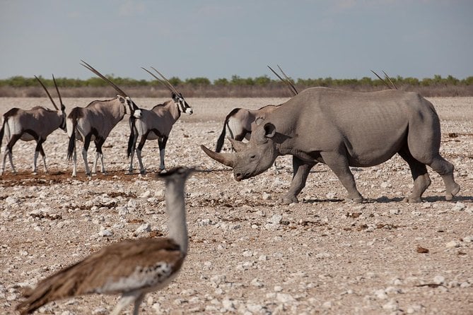 8 Best Guided Tours In Windhoek